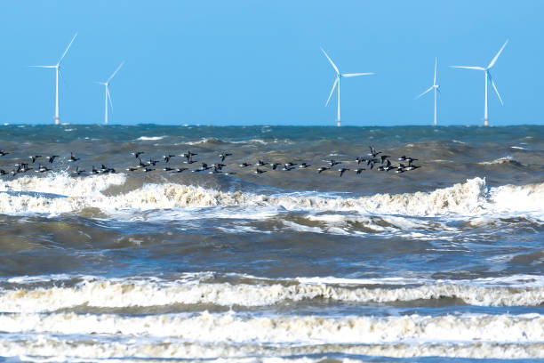 Aspen Floating Wind Project to Spark '1,000 Jobs' in UK 3 Aspen Floating Wind to Spark '1,000 Jobs' in UK’s Green Energy Boom