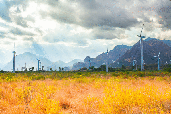 Torrent Green wins 300 MW SECI wind power project in Gujarat
